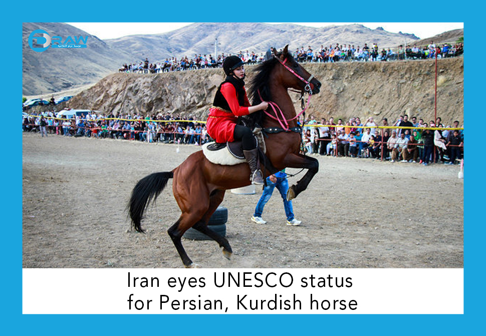 DrawMedia.net / Iran eyes UNESCO status for Persian, Kurdish horse