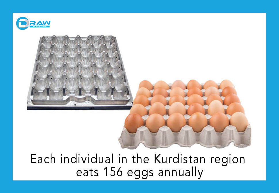 DrawMedia.net / Each individual in the Kurdistan region eats 156 eggs annually